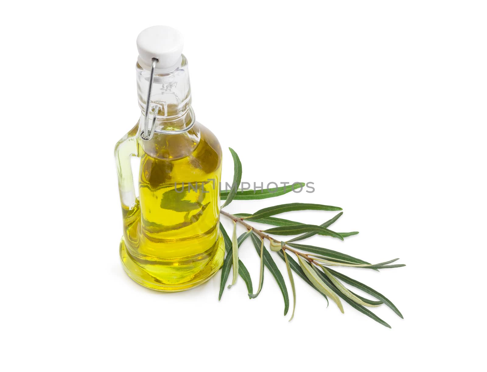 Small glass bottle of olive oil and olive branch beside on a white background
