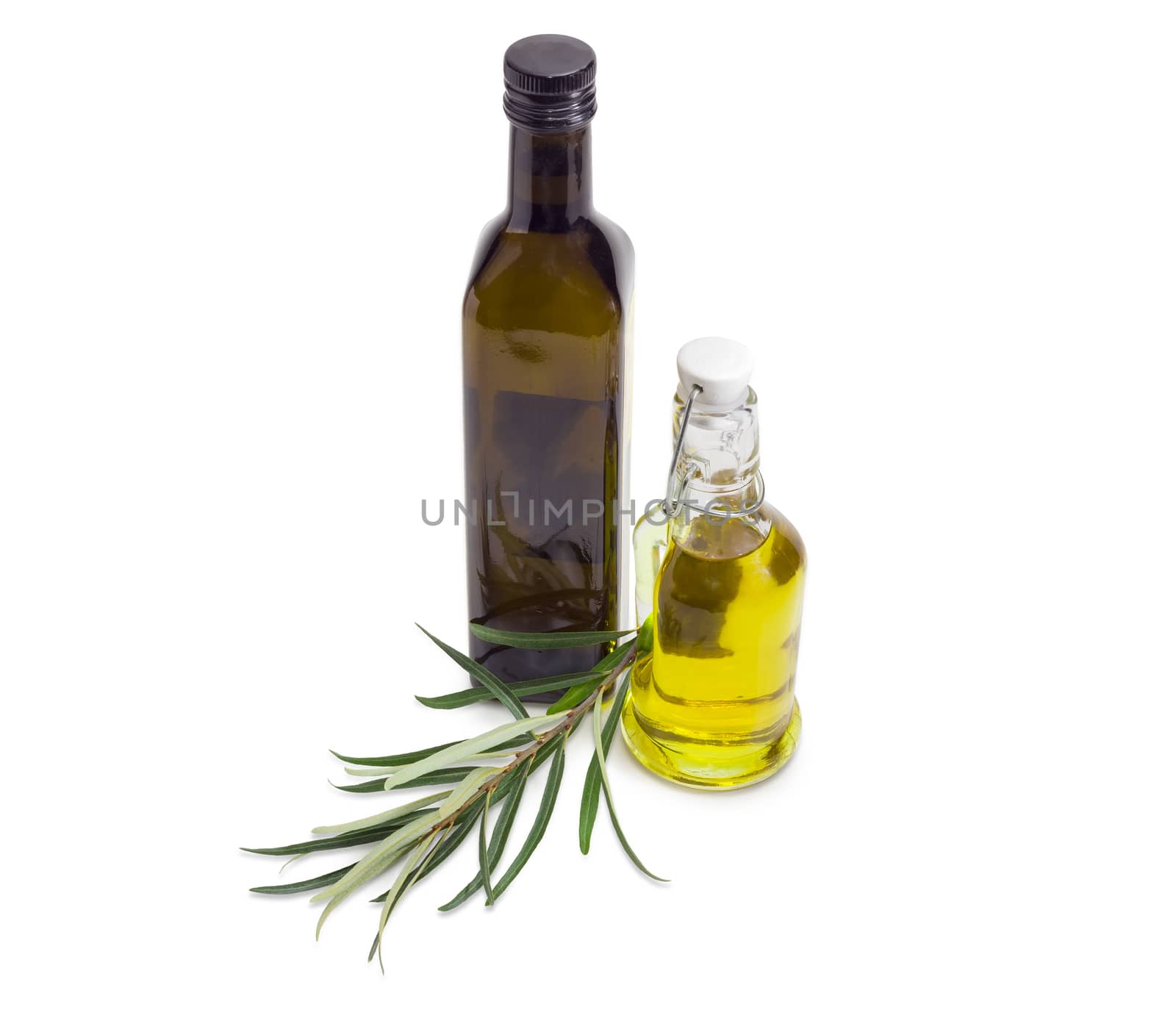Two different glass bottles of the olive oil and olive branch beside on a white background
