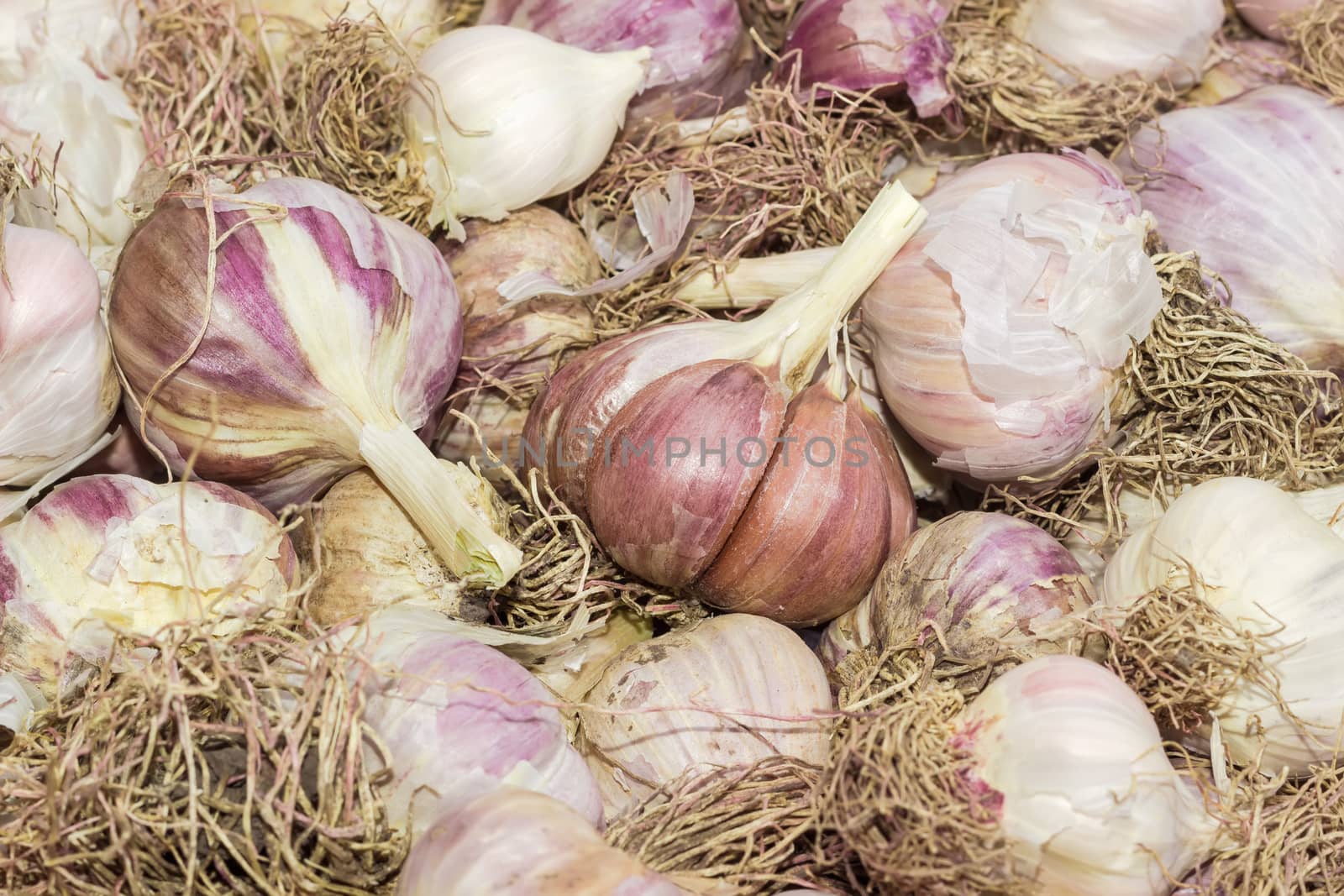 Background of the several bulbs of garlic on a pile by anmbph