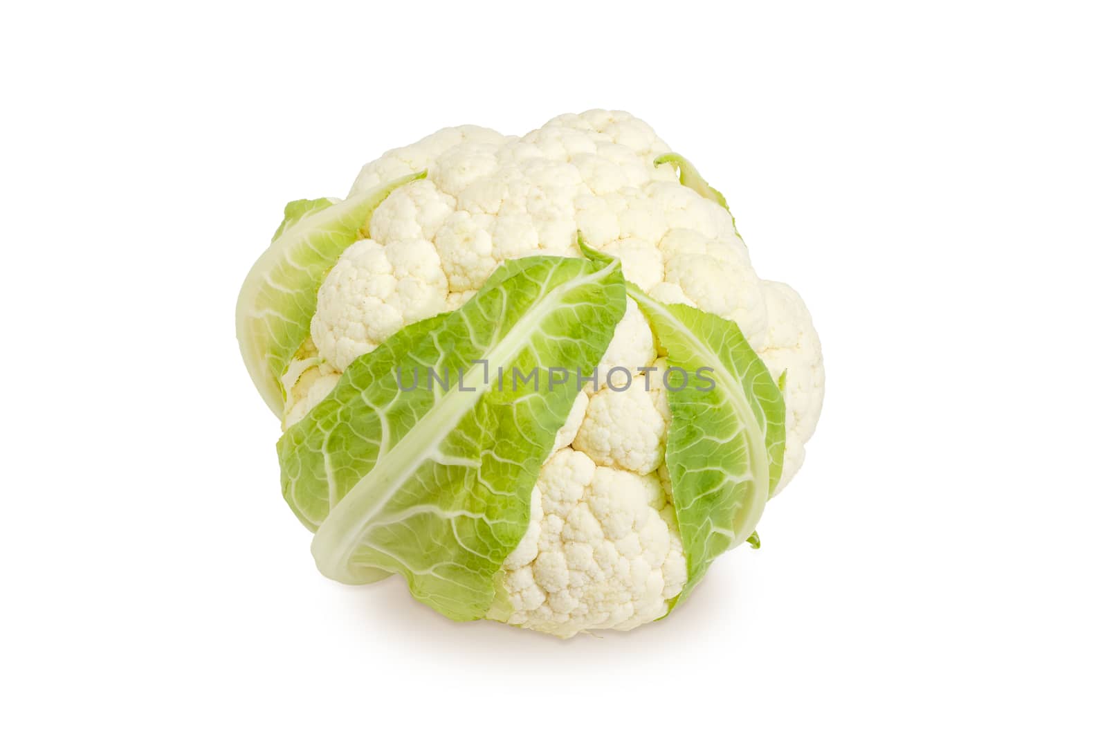 Head of white cauliflower on a white background by anmbph