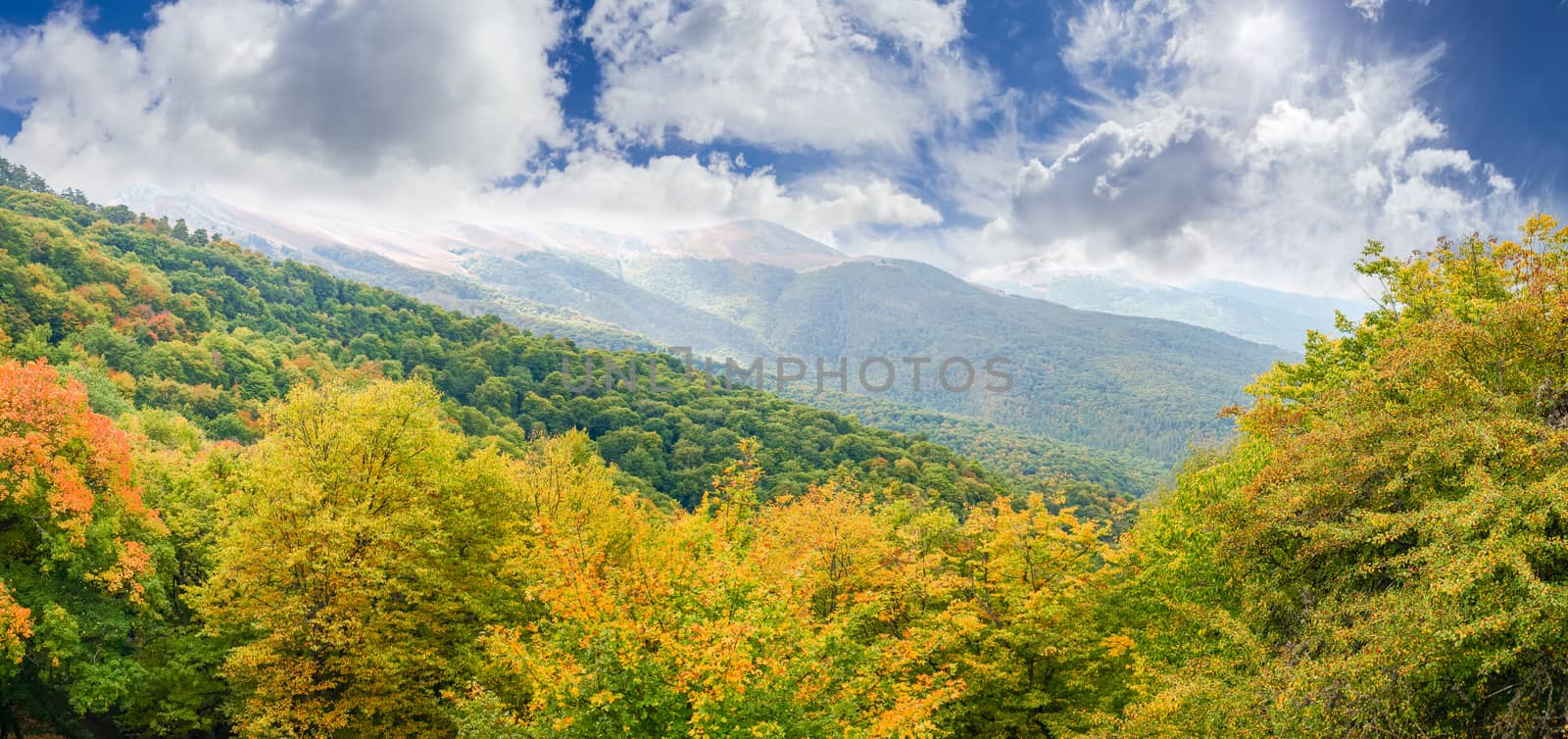 Panorama of the mountain slope with autumn forest on a foreground on a background of the sky with clouds
