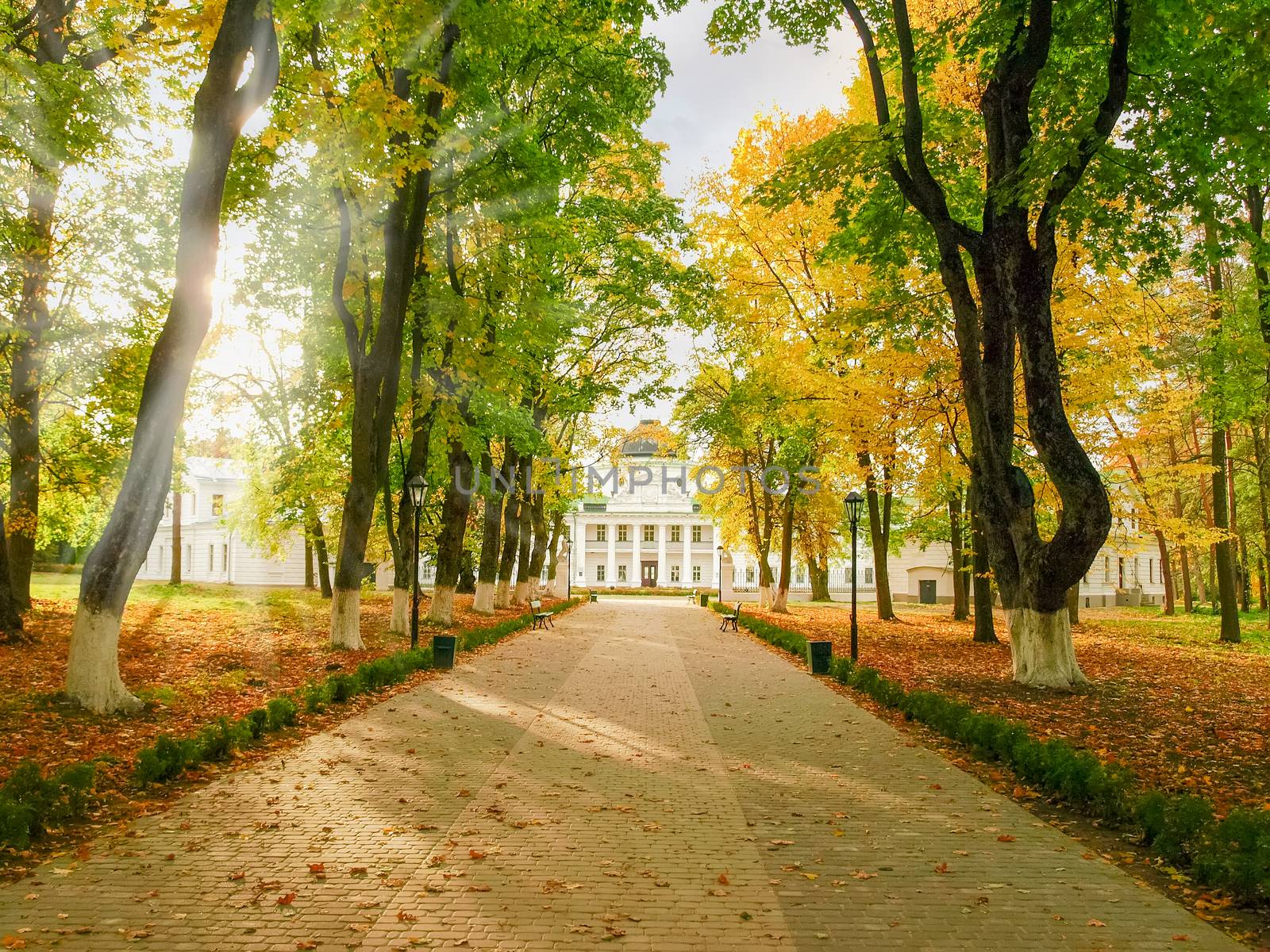 Alley leading to the palace in the autumn park  by anmbph