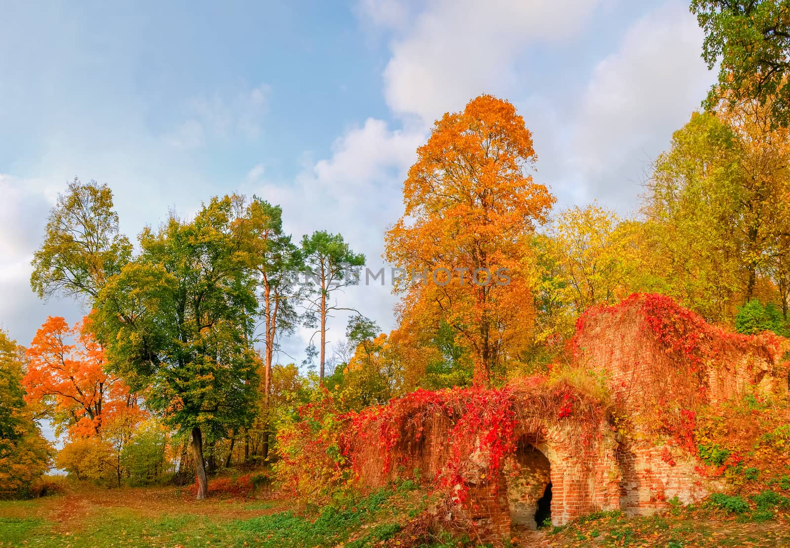 Fragment of the autumn landscape park with decorative ruins made of red bricks and covered with ivy with red leaves in foreground
