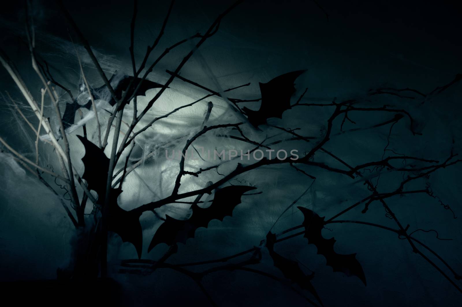 Decor of the silhouettes of bats on branches in a web in the night haze.
