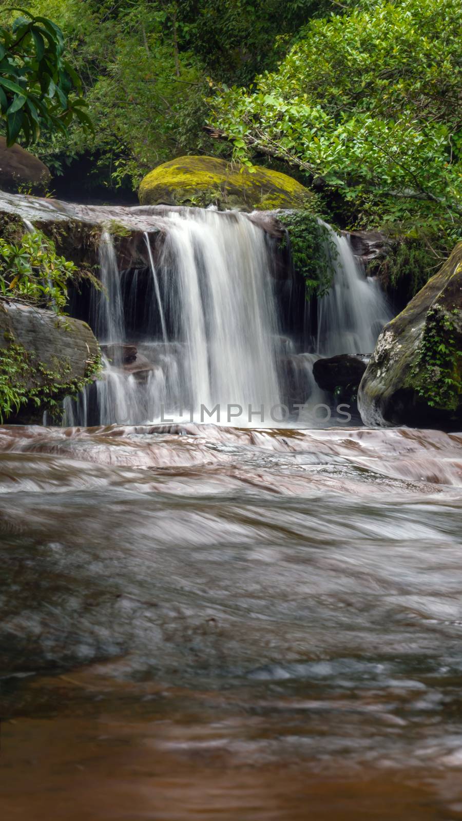 Stream in the tropical forest . Cascade falls over mossy rocks