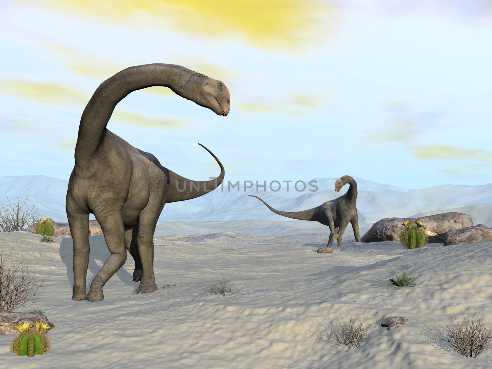 Two brontomerus dinosaurs walking in the desert - 3D render