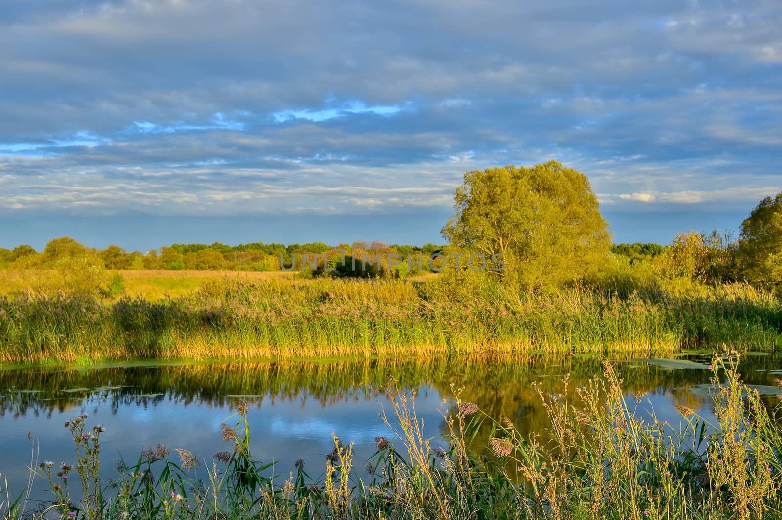 Colorful autumn landscape with a river and clouds.