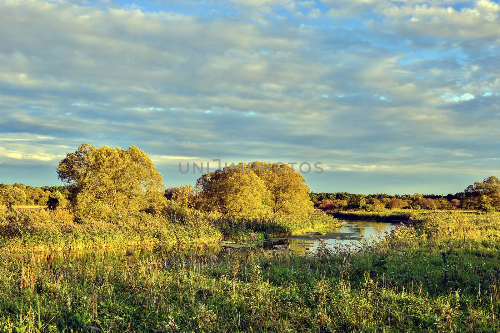 Colorful autumn landscape with a river and clouds.