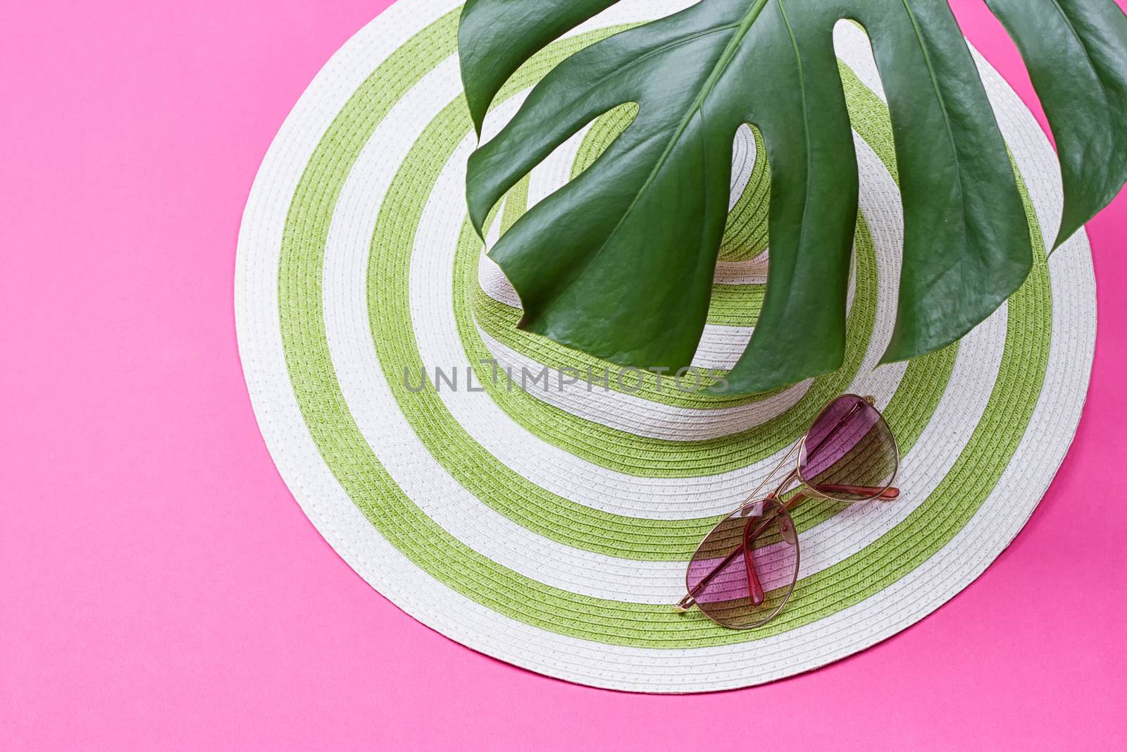green monstera leaf with sunglasses and straw hat by victosha