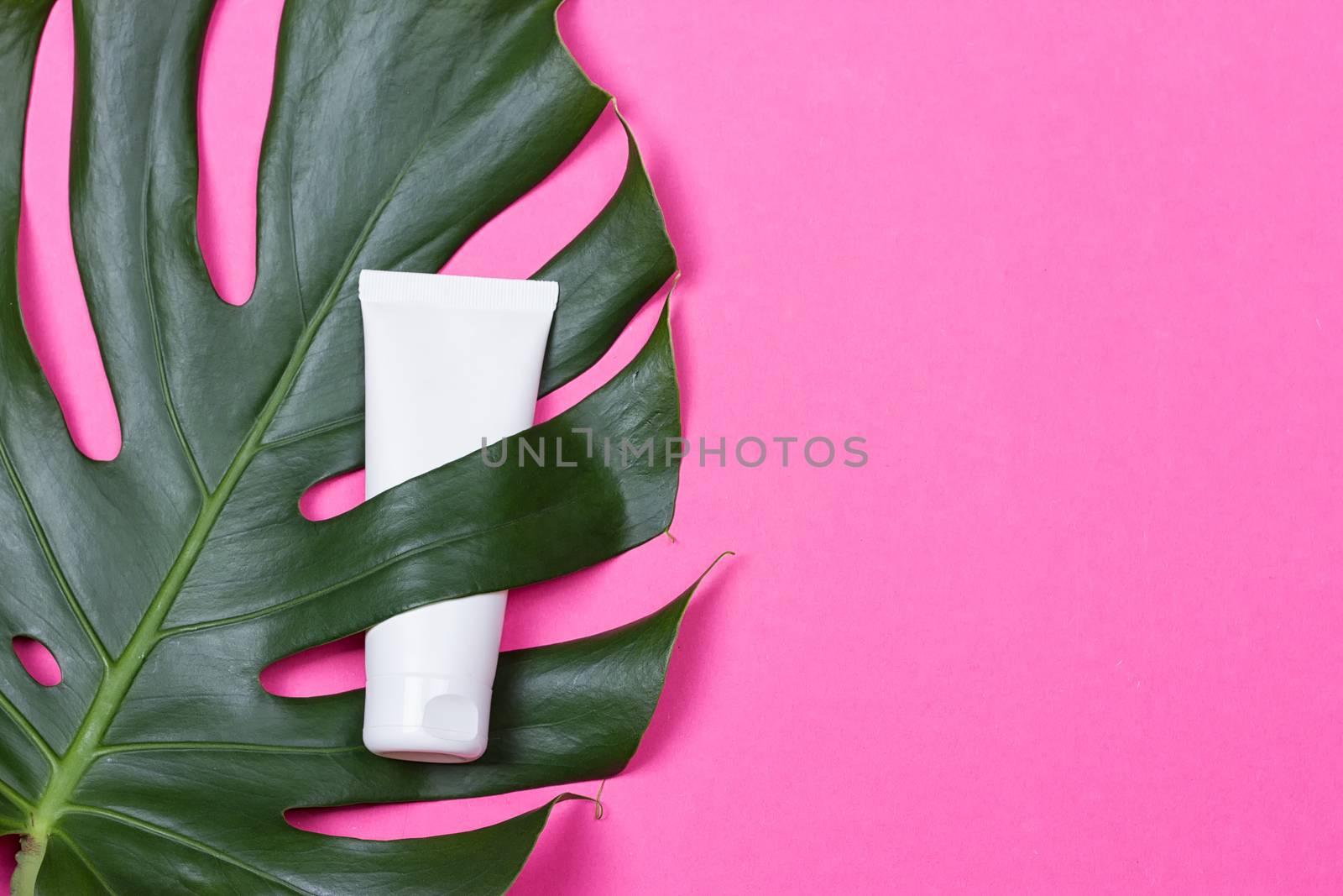 Cosmetic bottle containers with green herbal leaves on the pink background