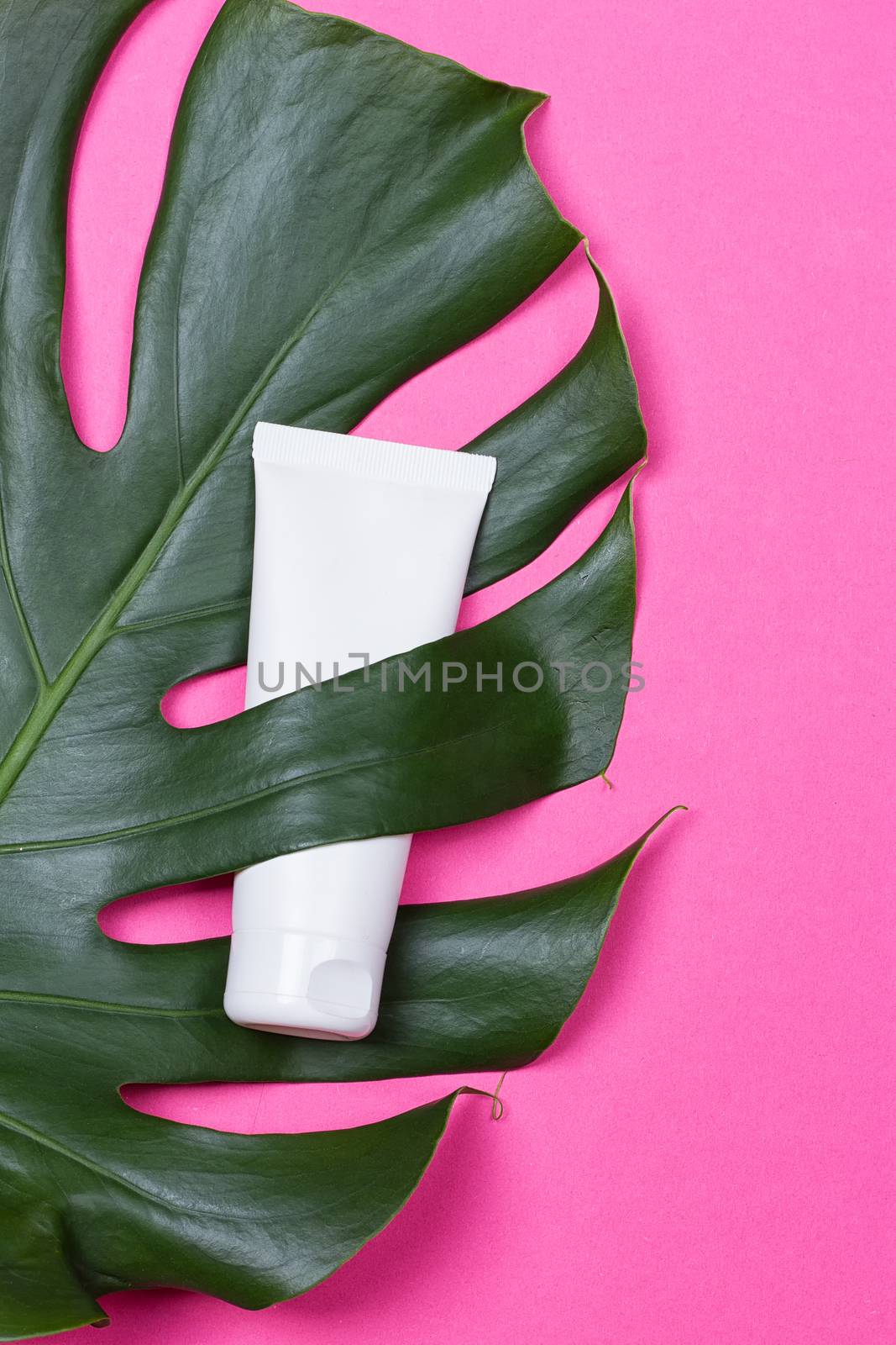 Cosmetic bottle containers with green herbal leaves on the pink background