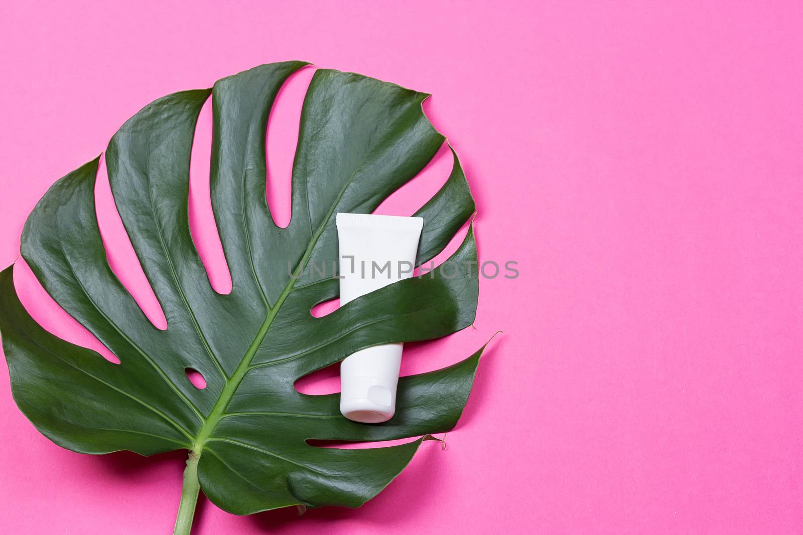 Cosmetic bottle containers with green herbal leaves on the pink background