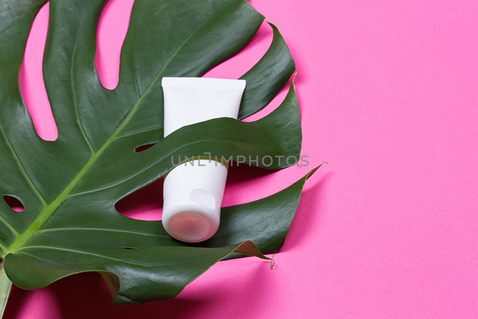 Cosmetic bottle containers with green herbal leaves on the pink background