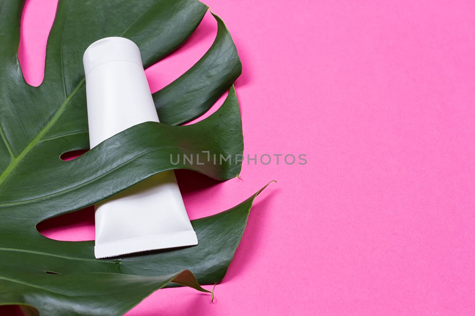 Cosmetic bottle containers with green herbal leaves on the pink background