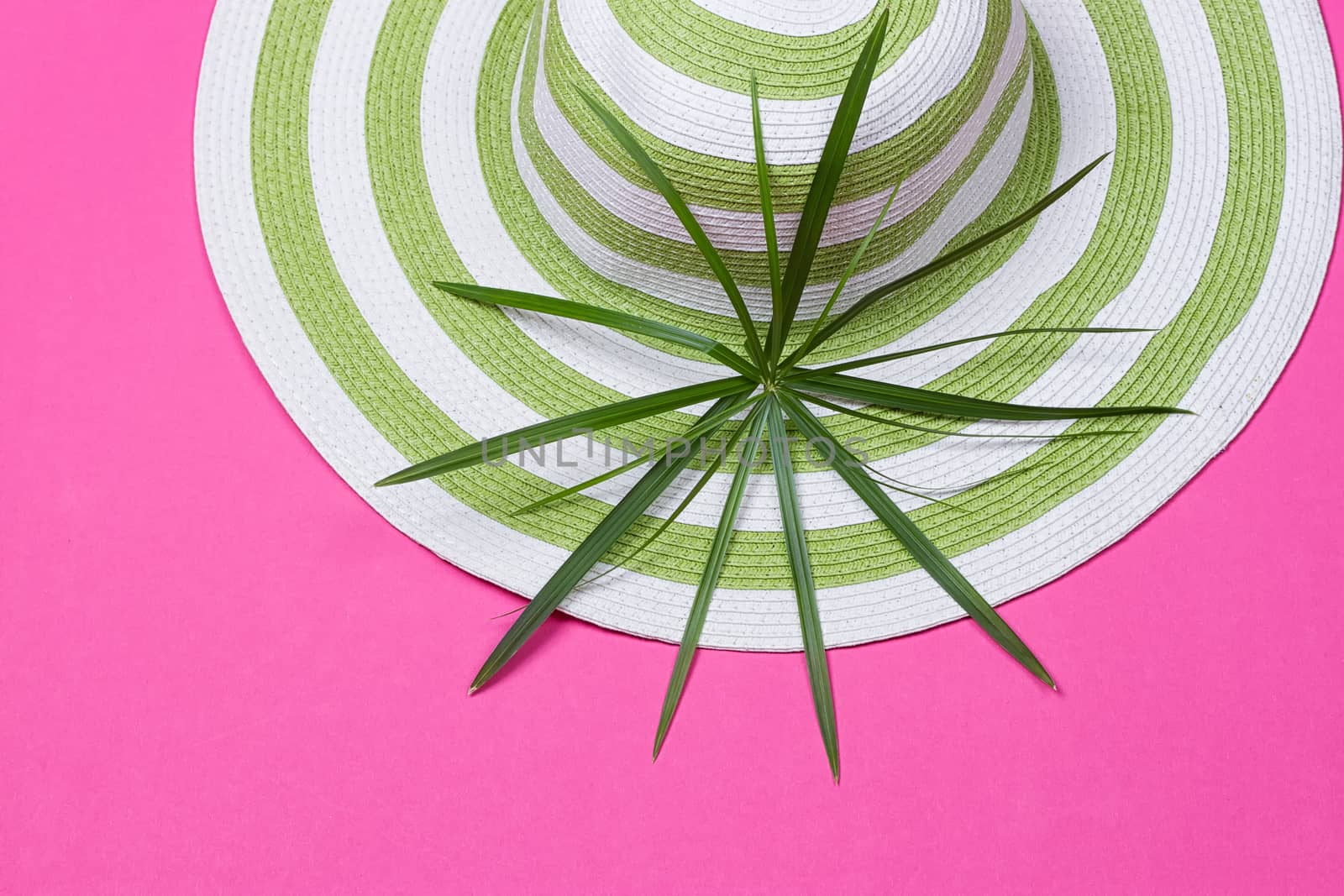 Beach hat and coconut leaves on pink background