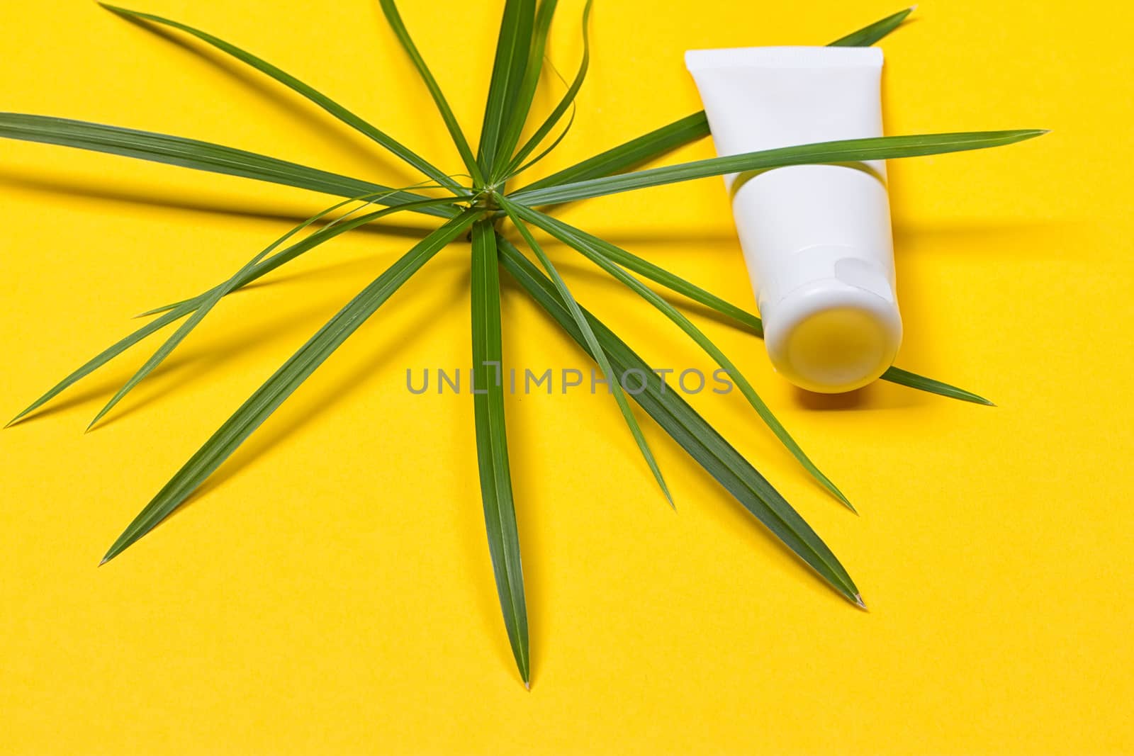 Cosmetic bottle container with green herbal leaves on the yellow background