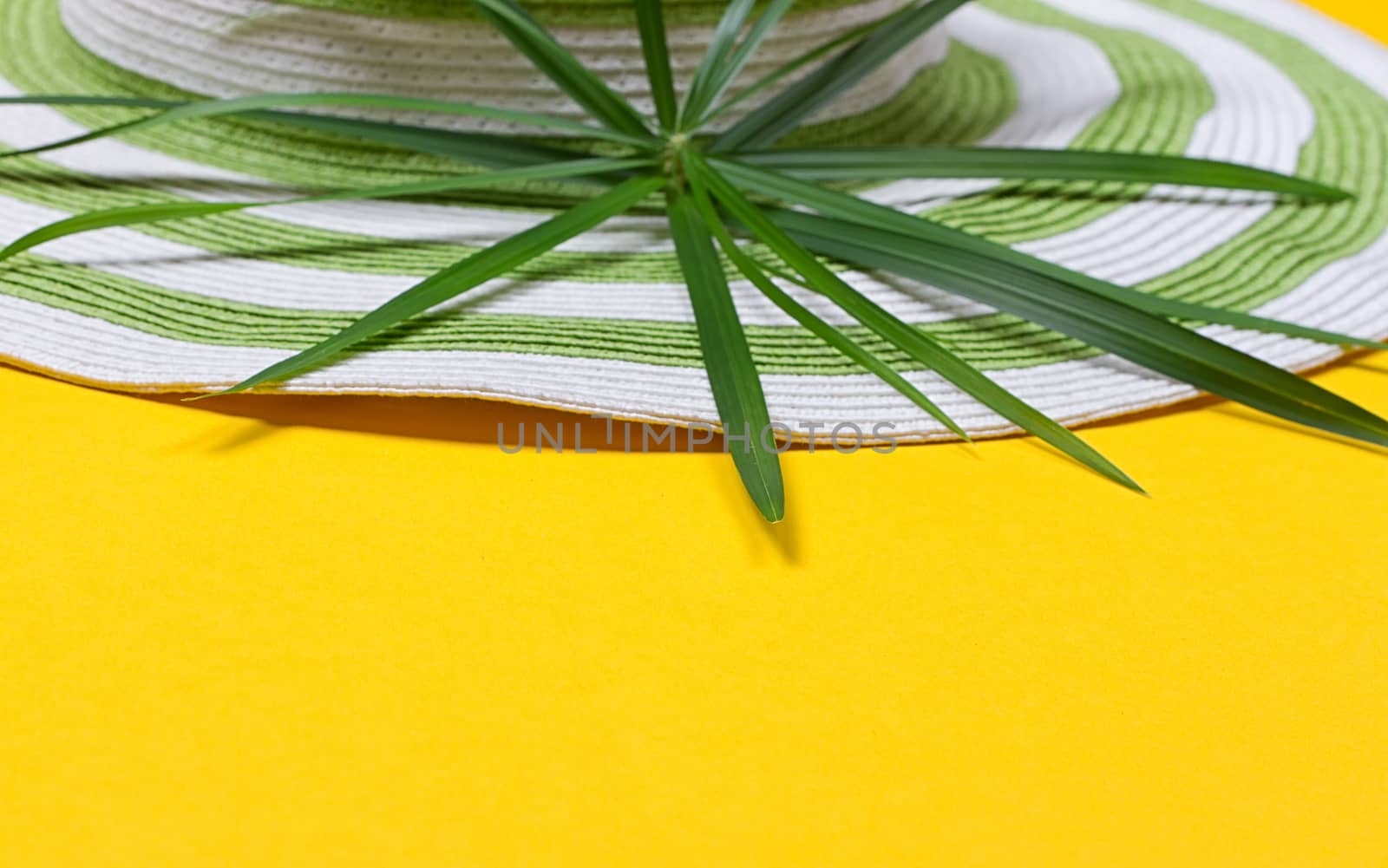 Beach hat and coconut leaves on yellow background