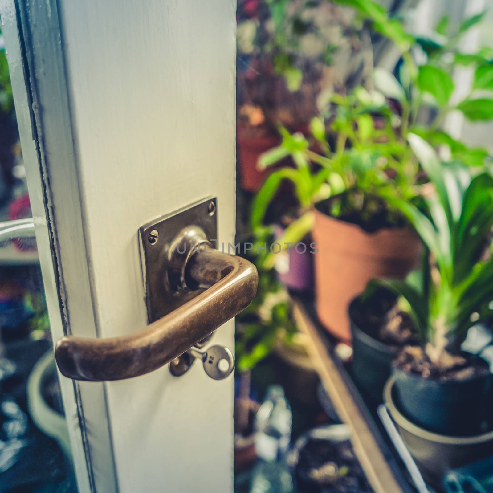 Retro Style Detail Of A Door Opening Into A Beautiful Greenhouse Or Conservatory