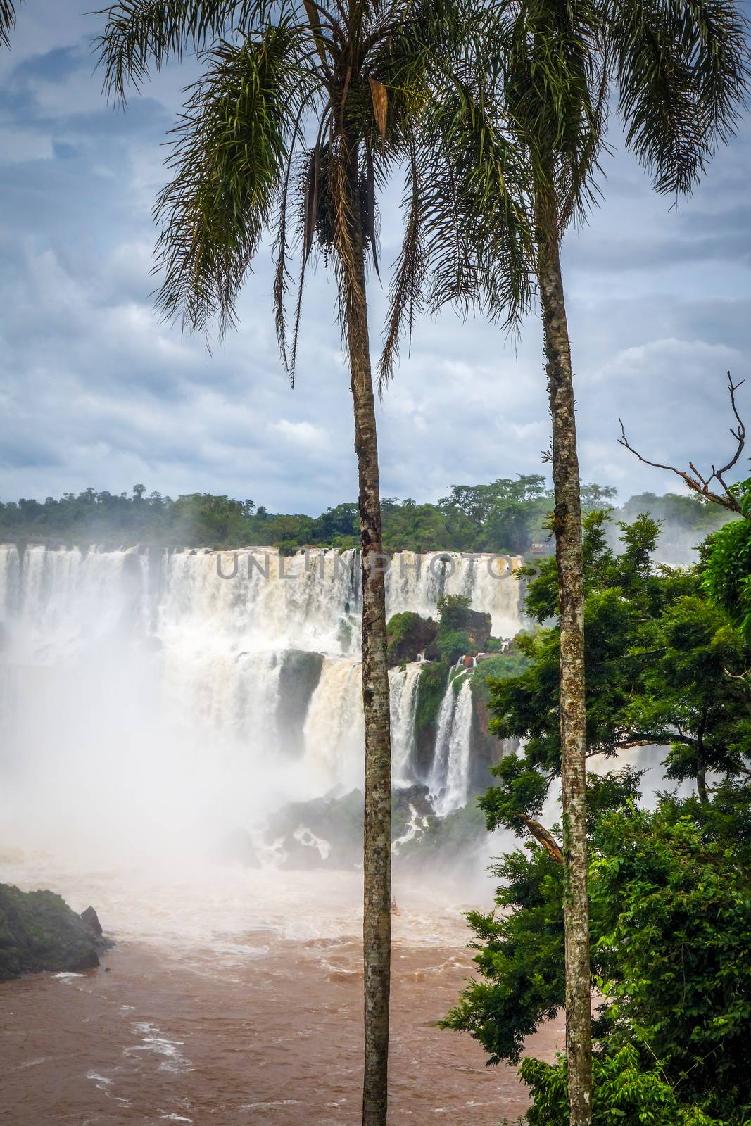 iguazu falls by daboost