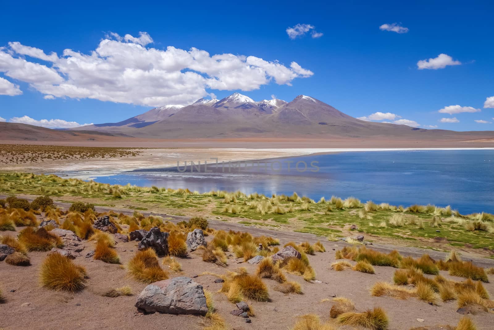 Altiplano laguna in sud Lipez reserva, Bolivia by daboost