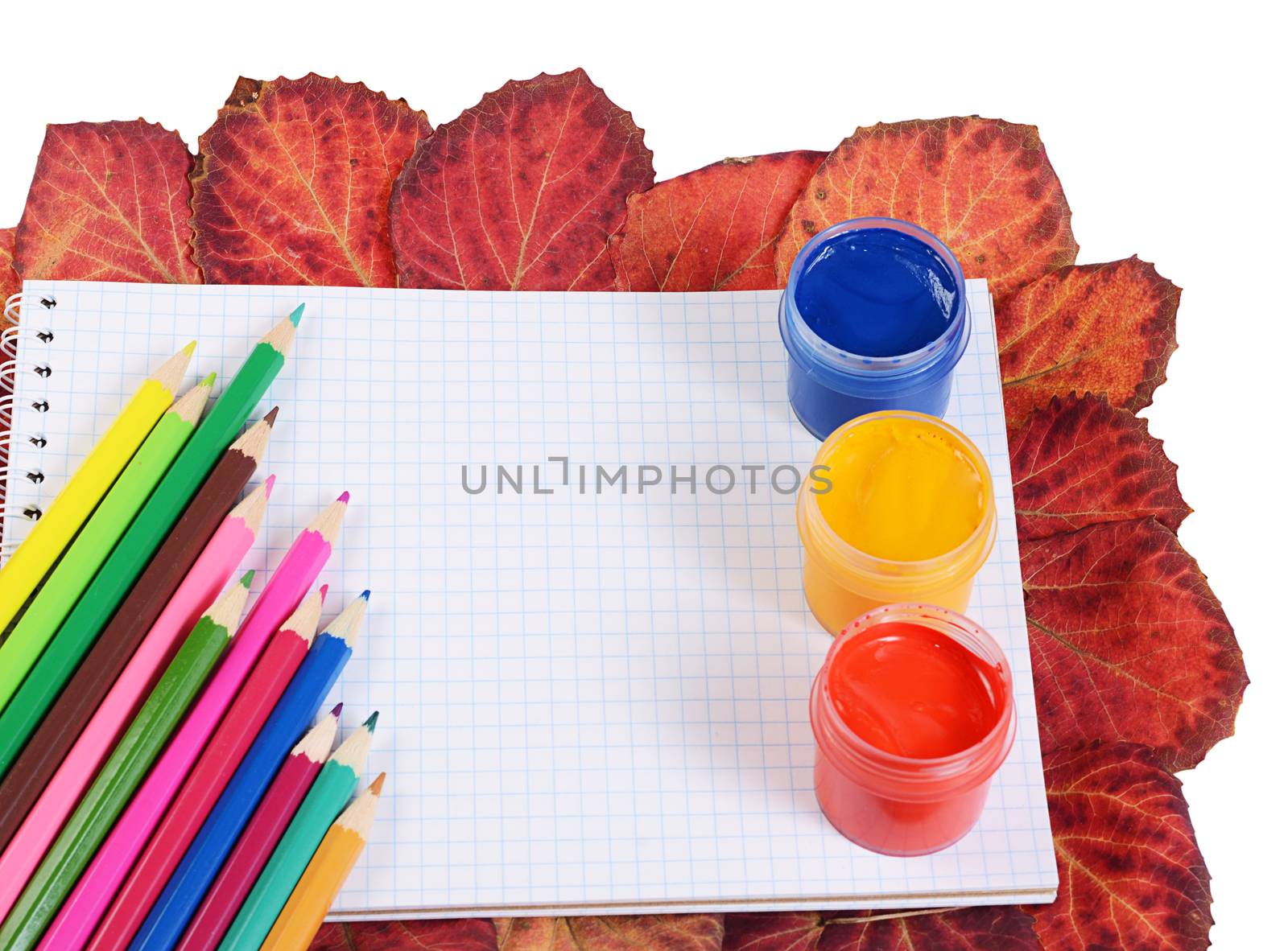 Colored pencils with notebook and autumn leaves