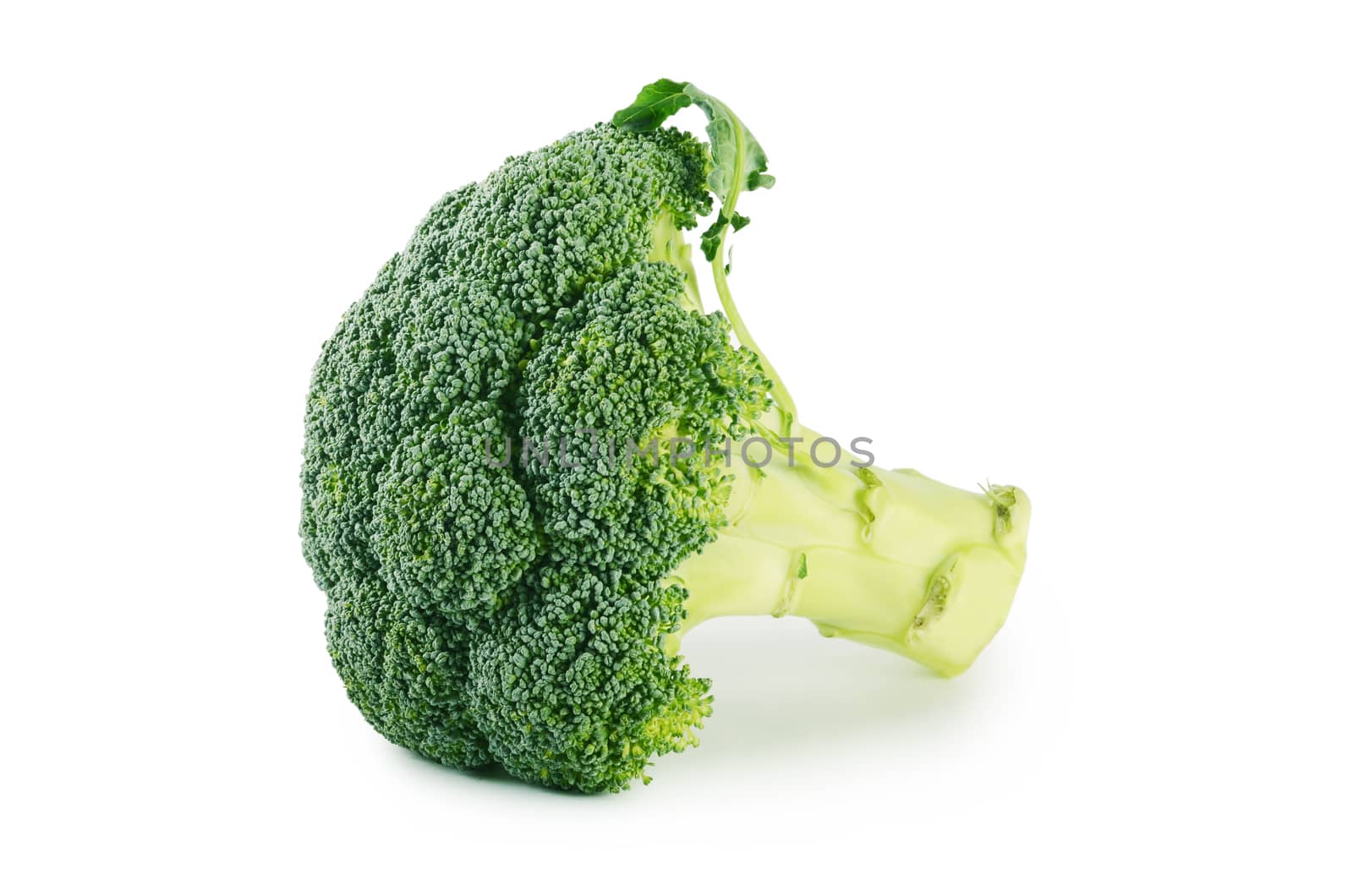 Fresh broccoli isolated on white background by SvetaVo