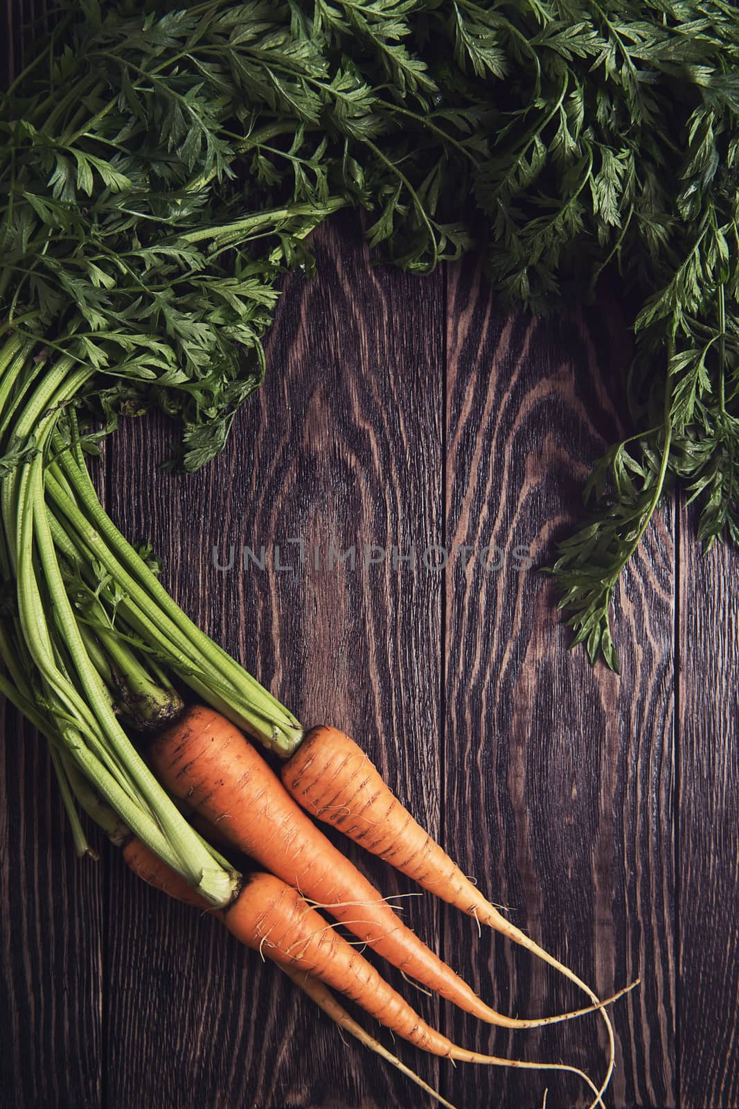 Freshly grown carrots on wooden table