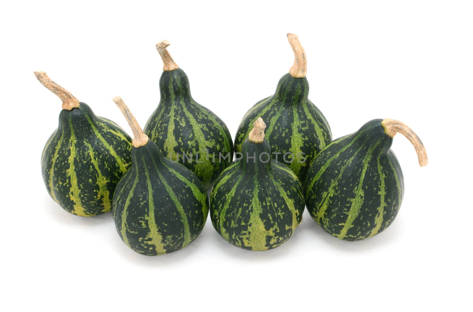 Group of six spinning or dancing gourds, dark green striped ornamental squash, isolated on a white background
