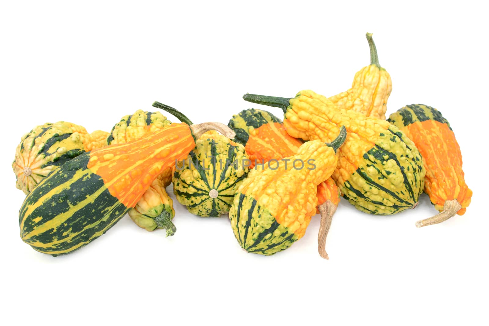 Assortment of orange, green and yellow ornamental gourds with unusual markings and textures, isolated on a white background