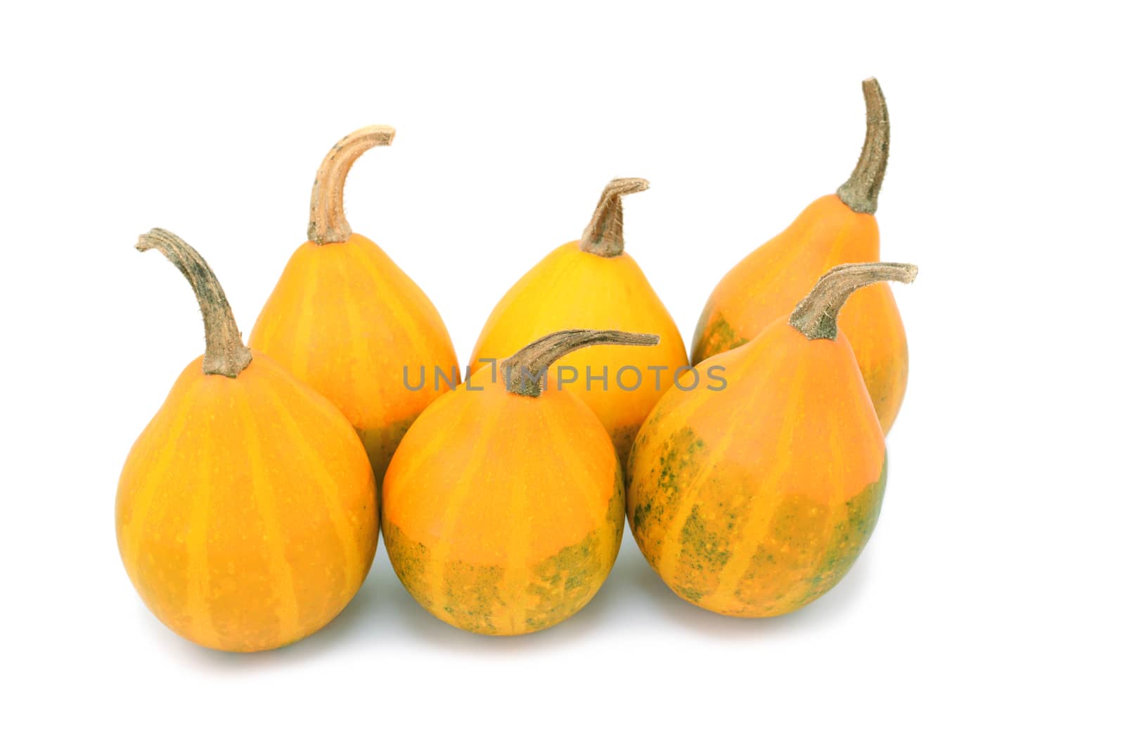 Six orange pear bicolor ornamental gourds with faded green markings, isolated on a white background