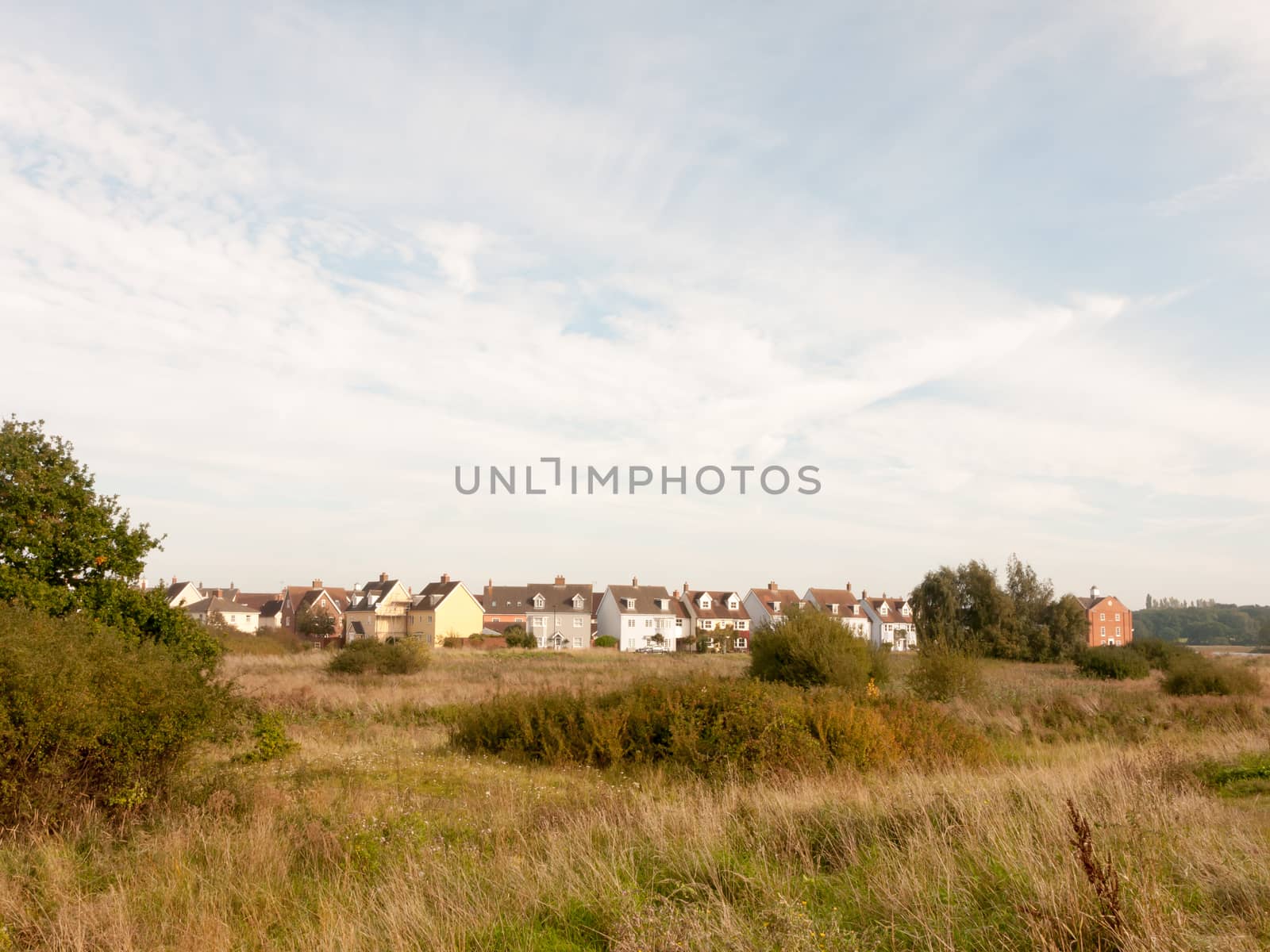 row of houses on coast edge behind field across the way sky and grass; Essex; England; UK