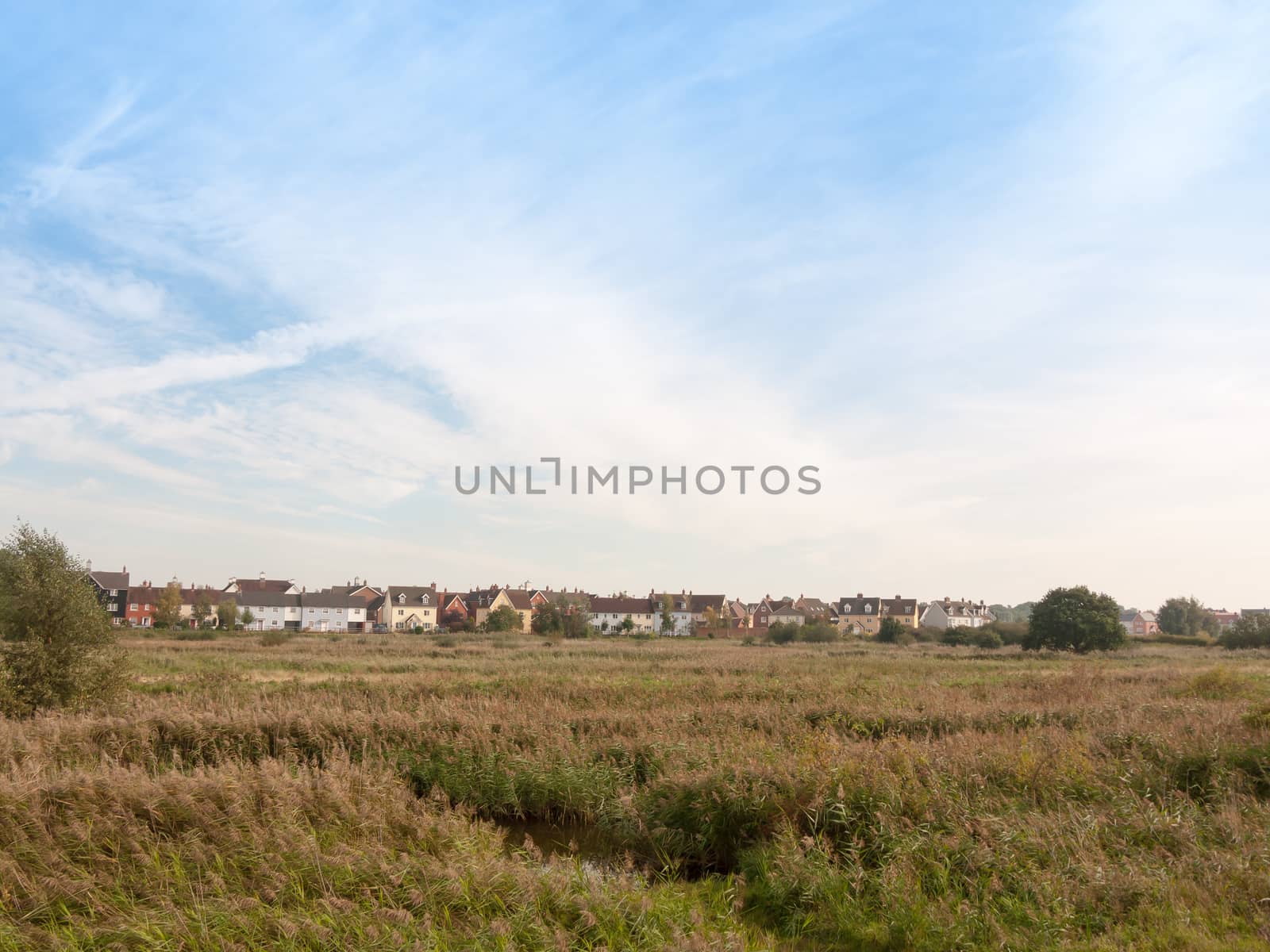 row of houses on coast edge behind field across the way sky and grass; Essex; England; UK