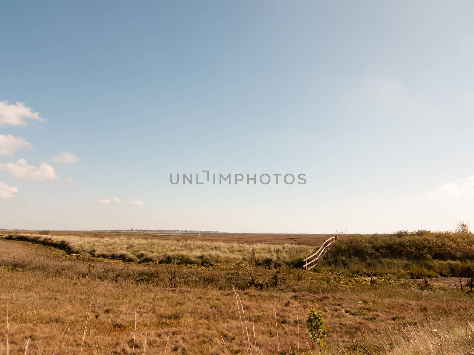 open marshland landscape scene with blue skies, clouds, and gras by callumrc