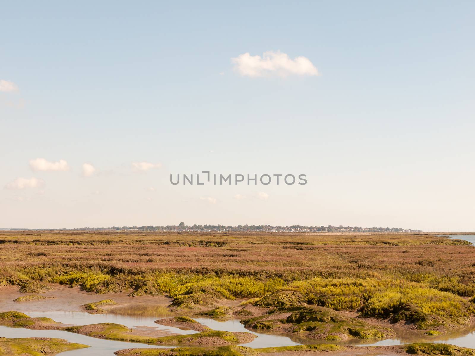 marshland landscape scene water in front village skyline in far background high sky space; essex; england; UK