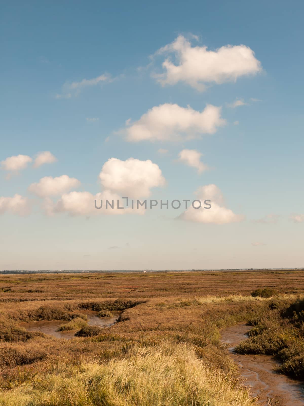 open marshland landscape scene with blue skies, clouds, and grass; essex; england; UK