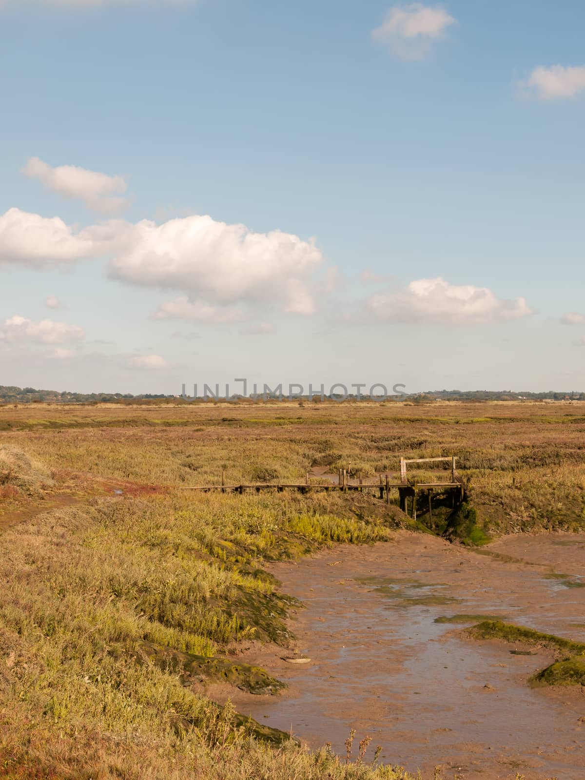 open landscape marshland scene outside empty no people grass and sky; essex; england; UK