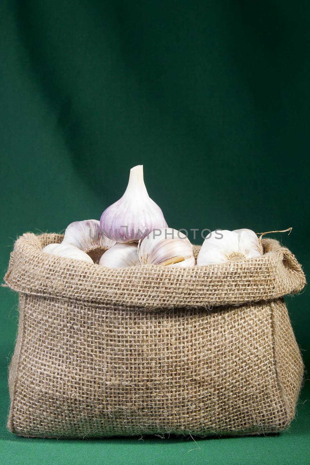 Garlic in a bag by VIPDesignUSA
