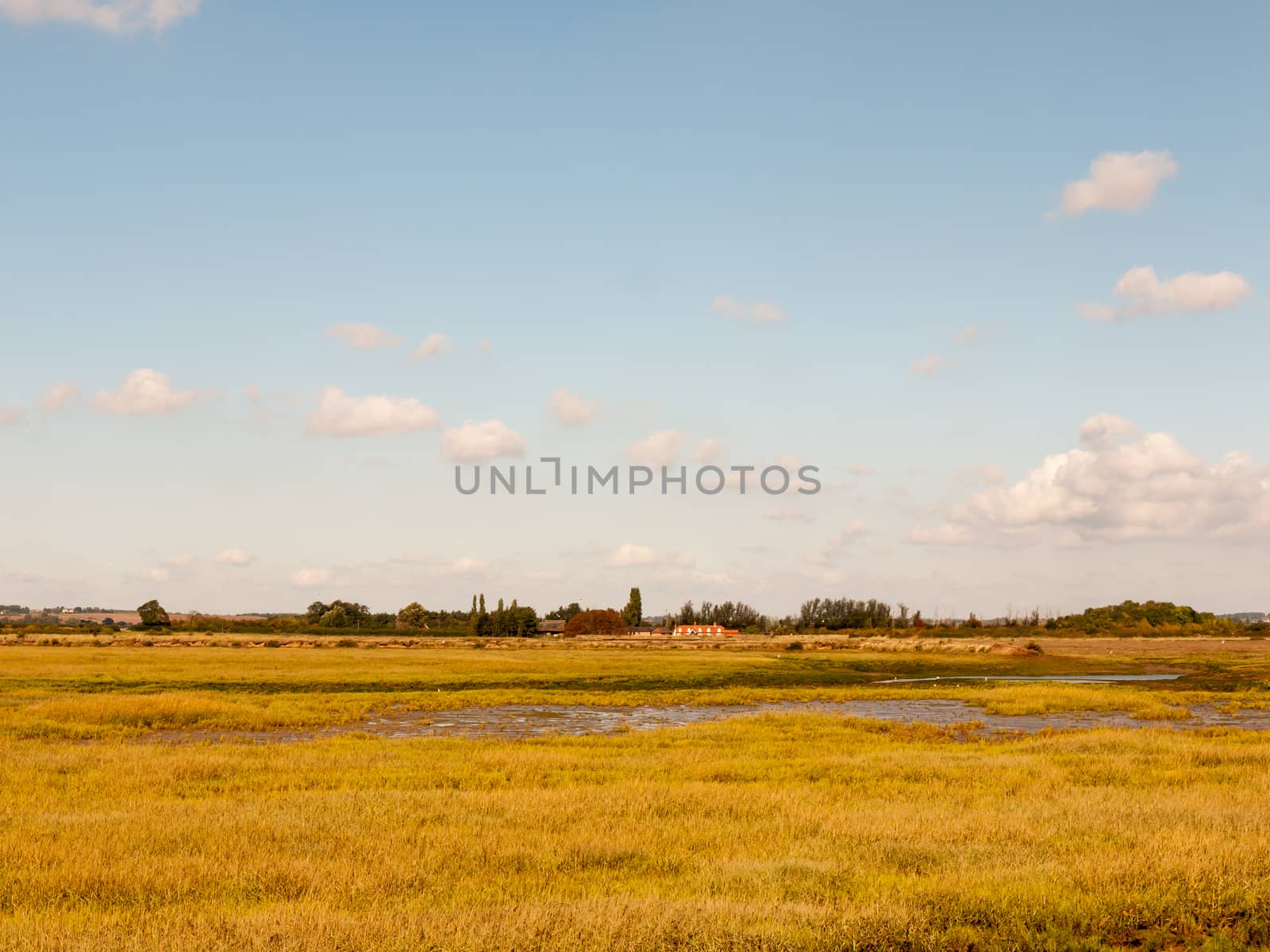 open marshland landscape scene with blue skies, clouds, and gras by callumrc