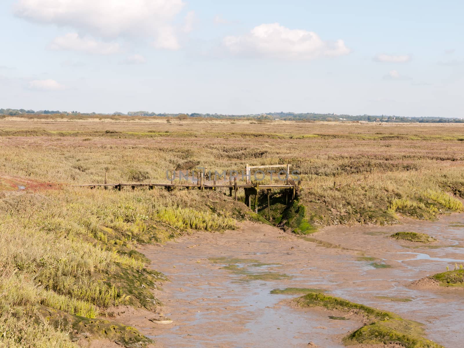 wooden bridge crossing in marshland landscape scene outside sunn by callumrc