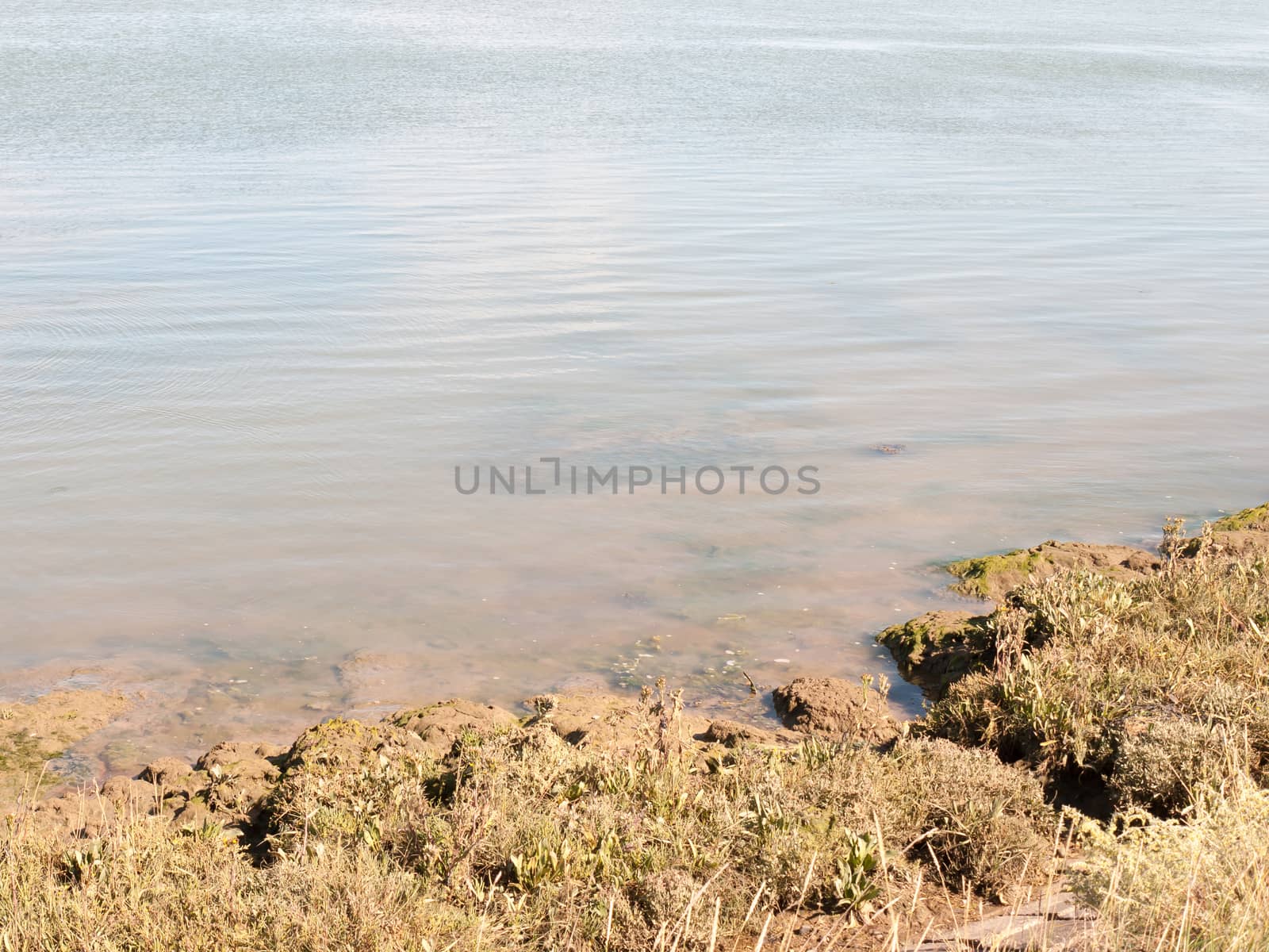 river edge tide coming up water moving landscape view; essex; england; UK