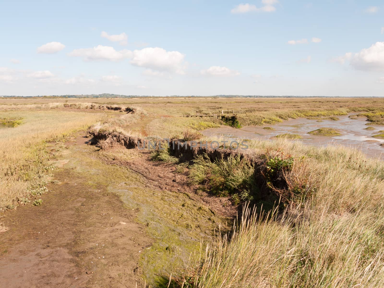 landscape scene marshland outside no people walkway scene; essex; england; UK