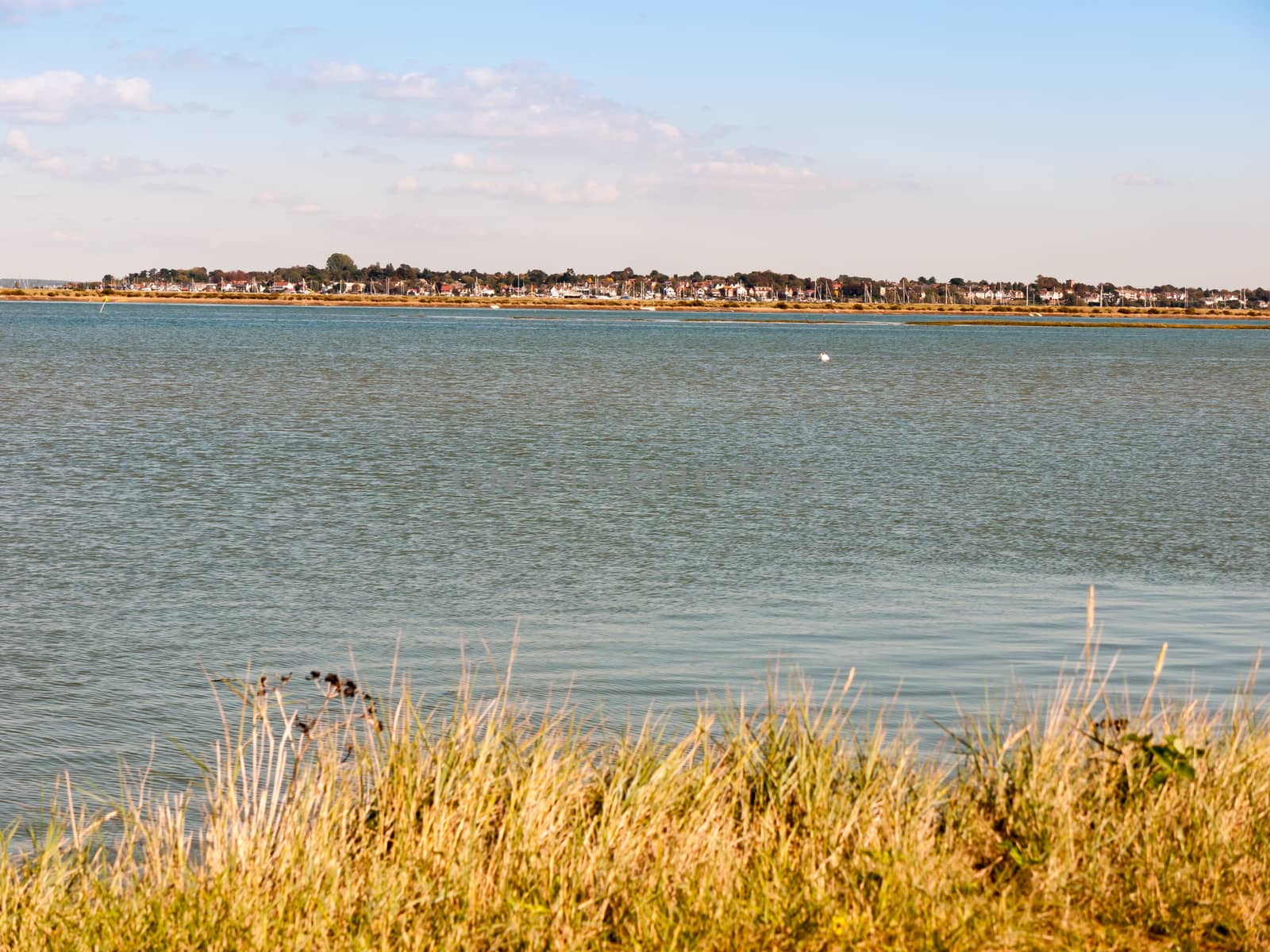 beautiful sea wave scene with village on other shore; essex; england; UK