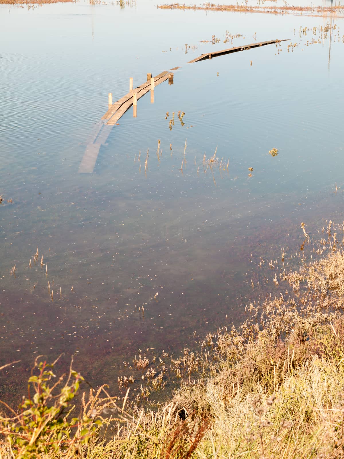 submerged wooden walkway in dockland in sea water; essex; england; UK