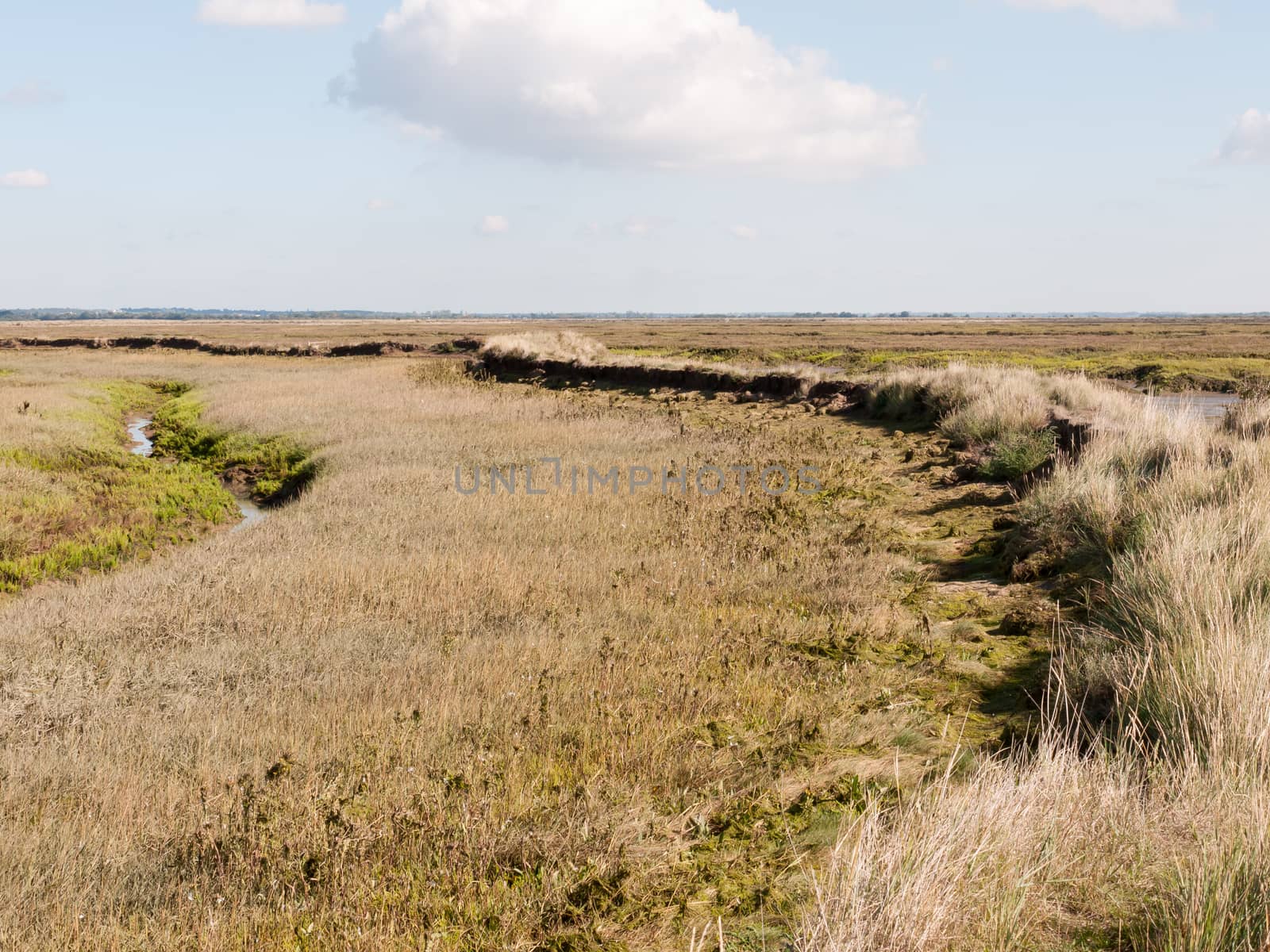 landscape grass marshland scene outside empty space no people walkway; essex; england; UK