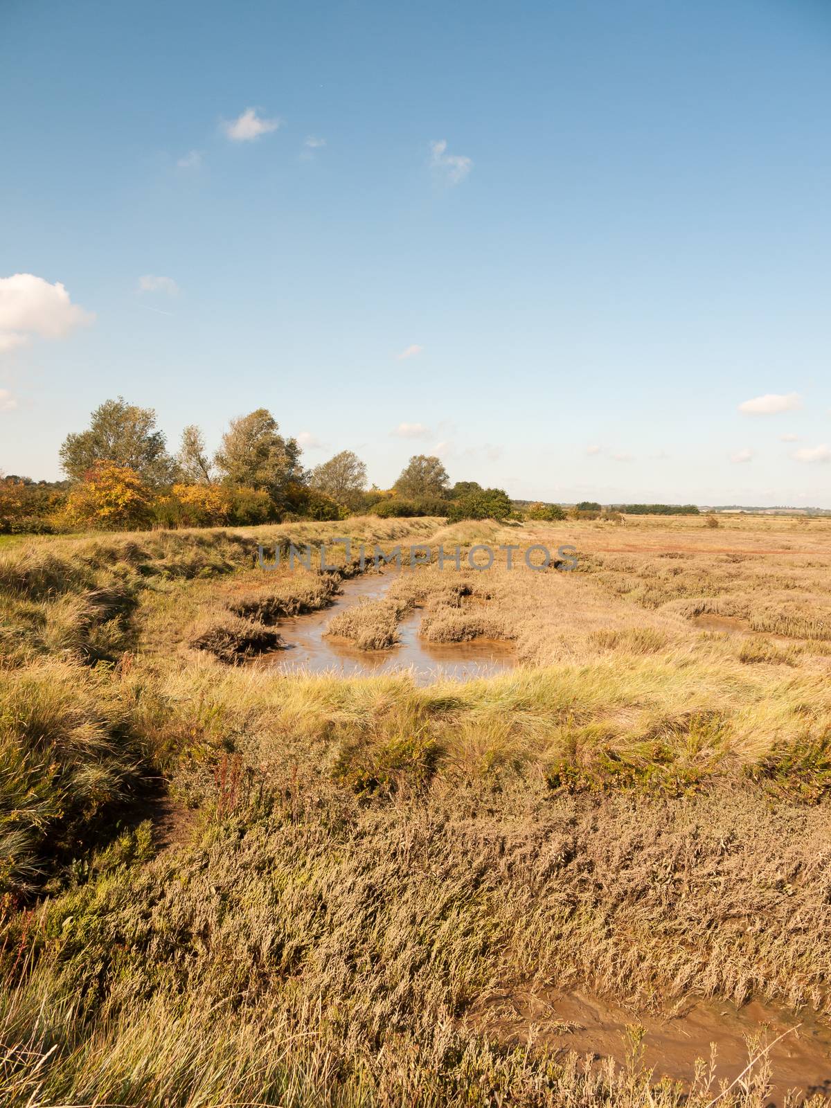 open marshland landscape scene with blue skies, clouds, and gras by callumrc