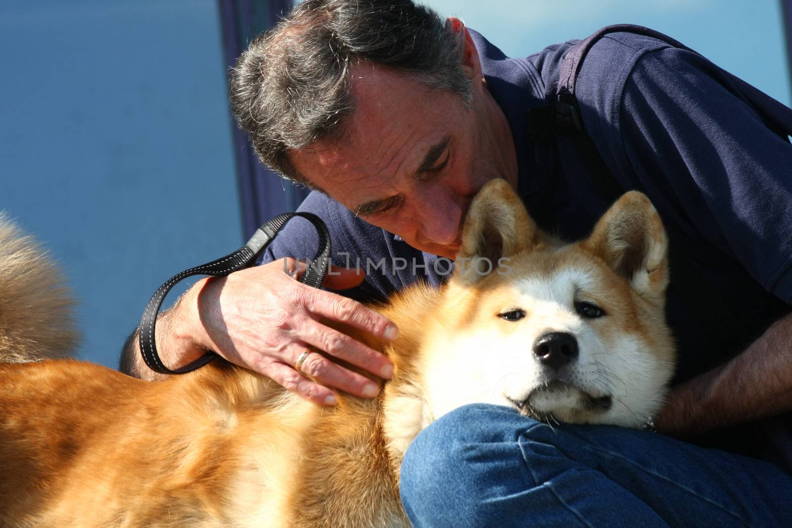 Dog hugging with a man by tdjoric