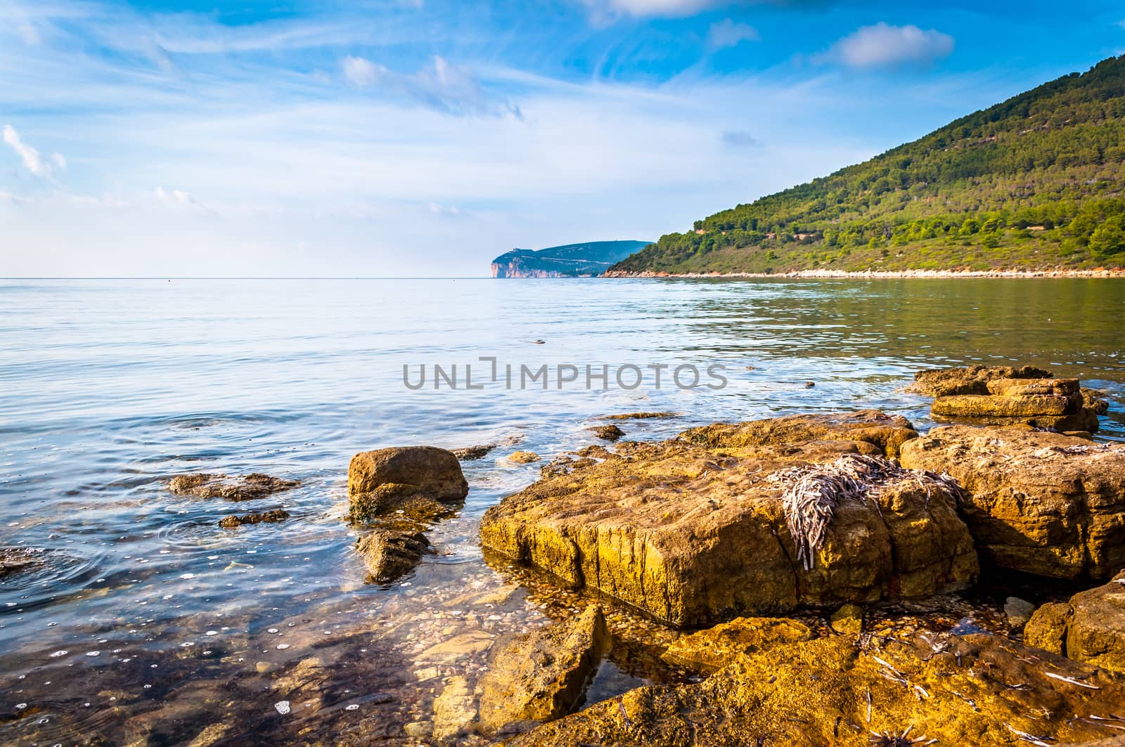 Landscape of Capo Caccia from the coast by replica