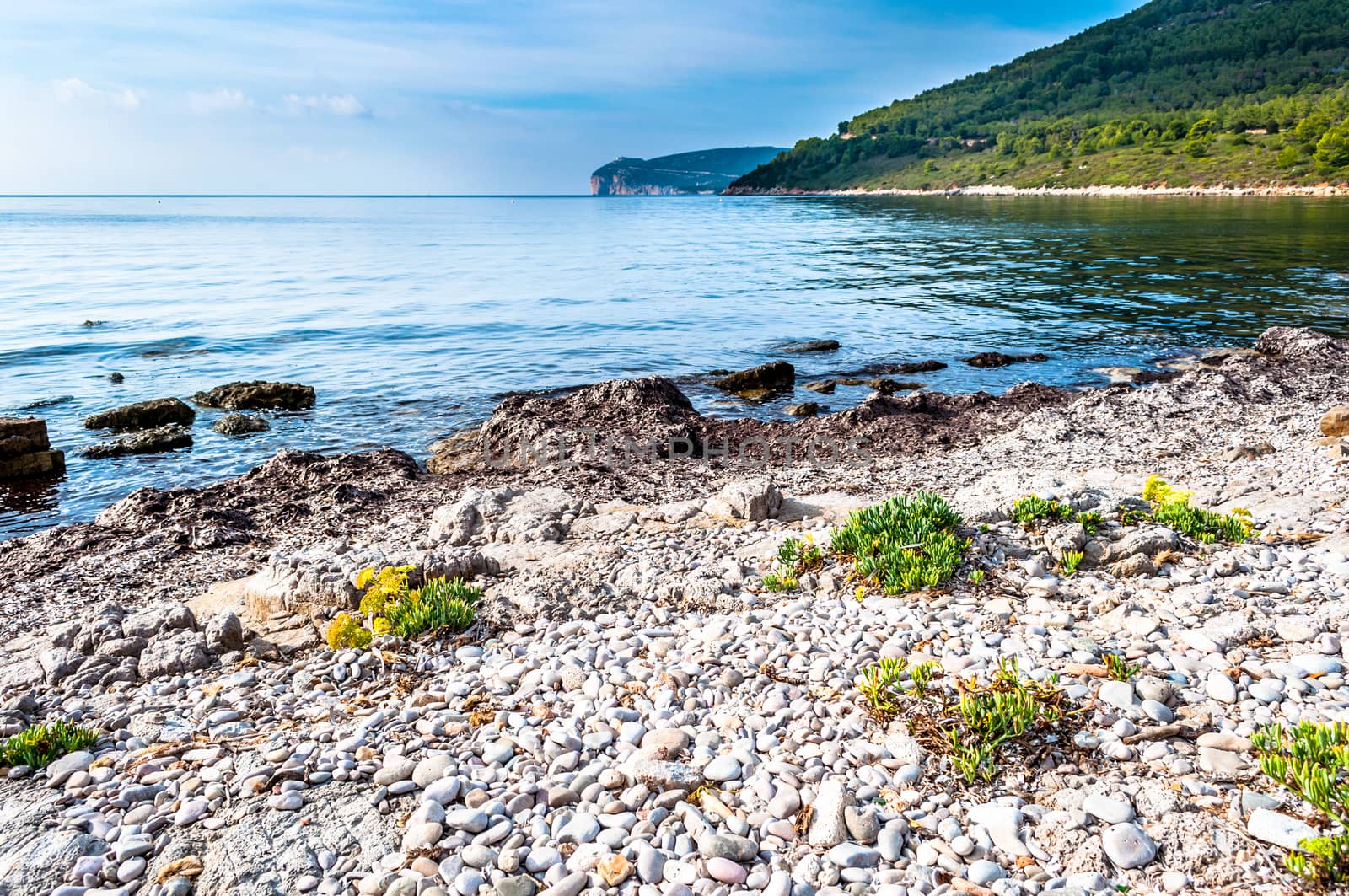 Landscape of Capo Caccia from the coast by replica