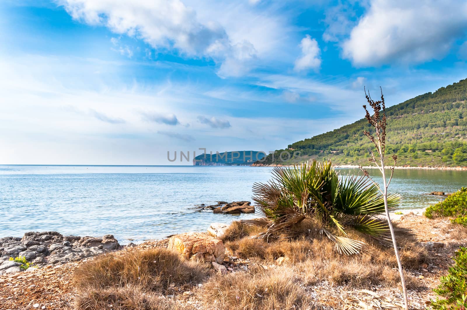 Landscape of Capo Caccia from the coast in a sunny day of autumn - Alghero - Sardinia