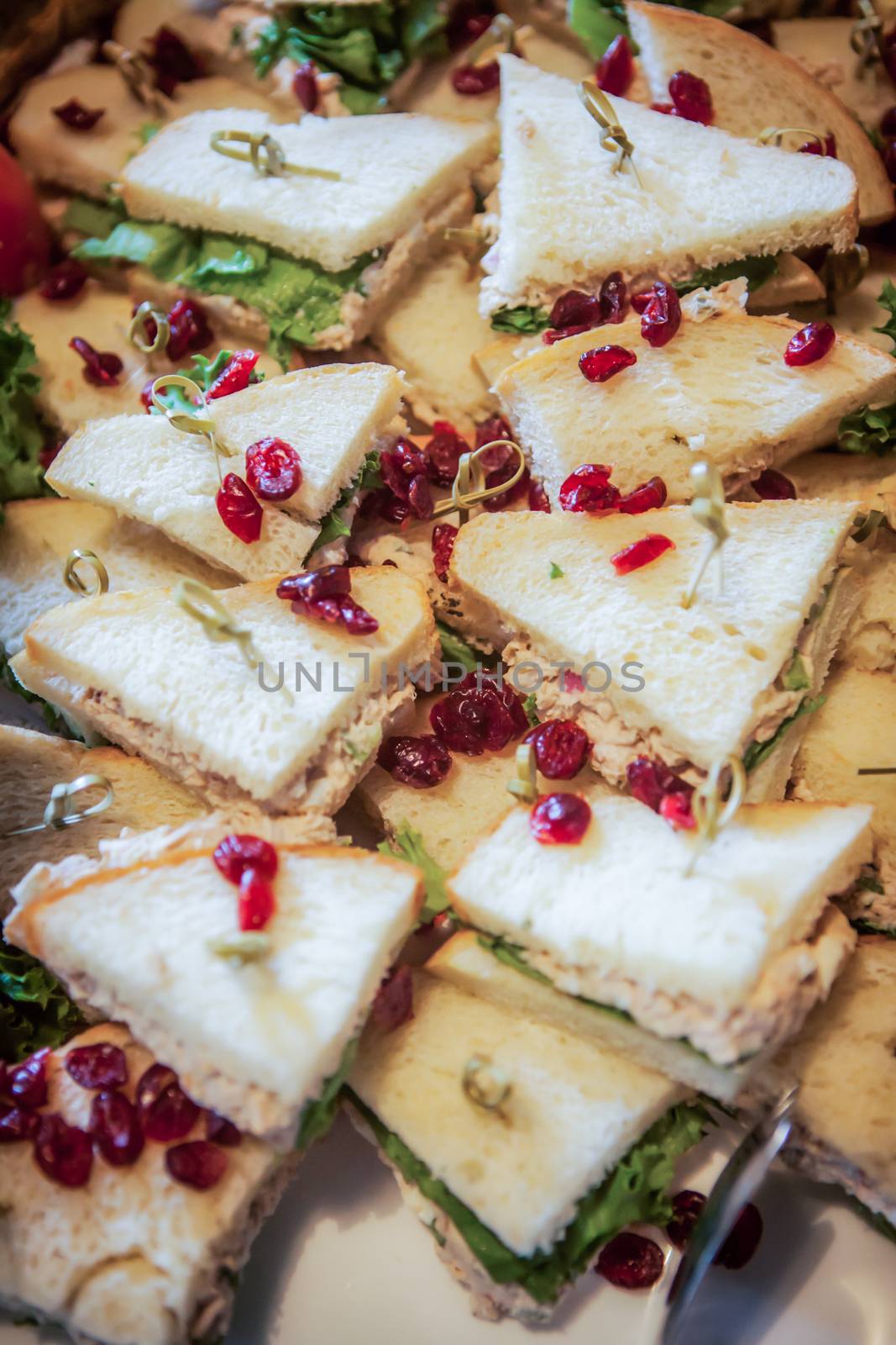 Sandwich triangles nicely laid out with beautiful cranberry garnish.